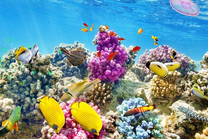 Dolphin Lagoon 2 days 15