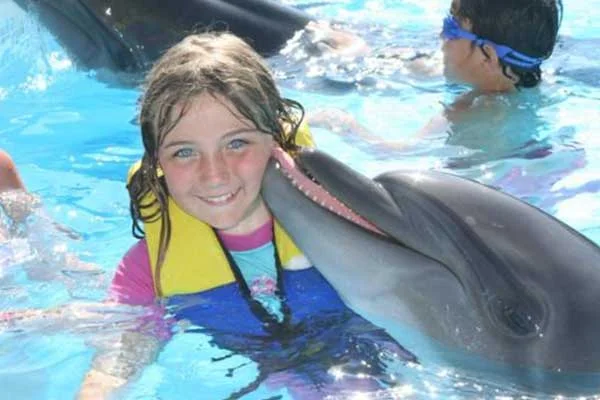 Dolphin-Show-Hurghada-and-Swimming-with-Dolphins-6