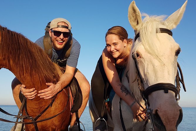 Horseback riding at sunset 2 hours 3