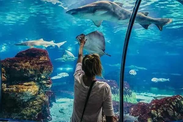 Hurghada-Grand-Aquarium-5