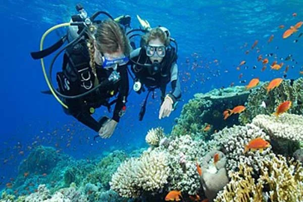 hurghada_diving4